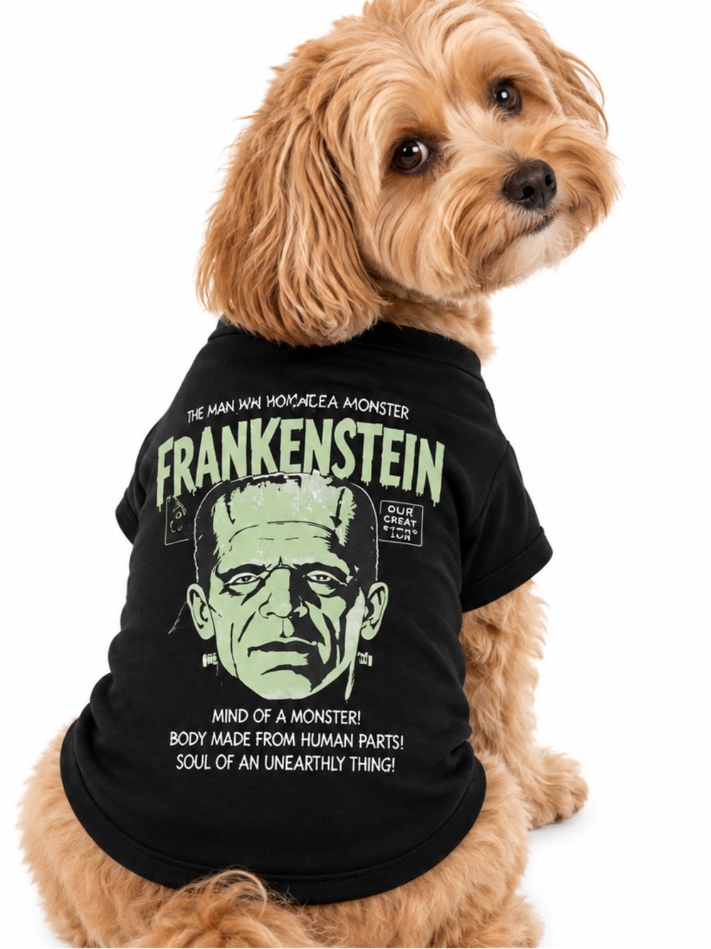 NEW - Universal Monsters Frankenstein Pet T-Shirt Dog Cat Black Size M